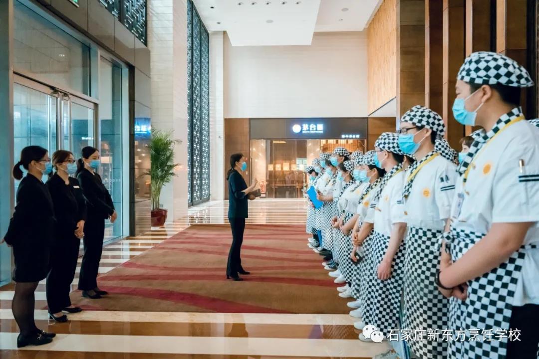 解析｜學(xué)西點，長期or短期，你適合哪種？