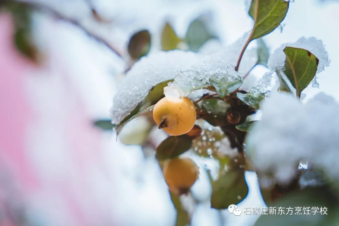 爸媽放心吧，立冬的餃子我已經(jīng)吃上啦！