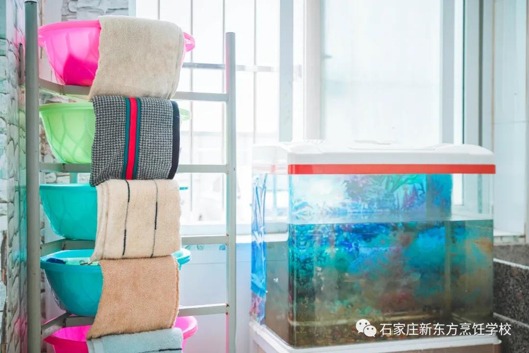 一見傾心丨get宿舍相處之道，幸福值拉滿~