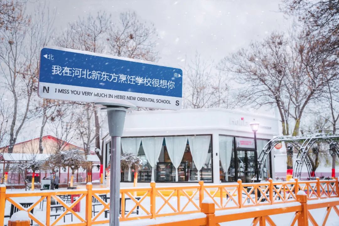 在河北新東方，邂逅一場浪漫雪景~